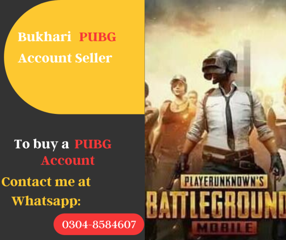 PUBG Account seller