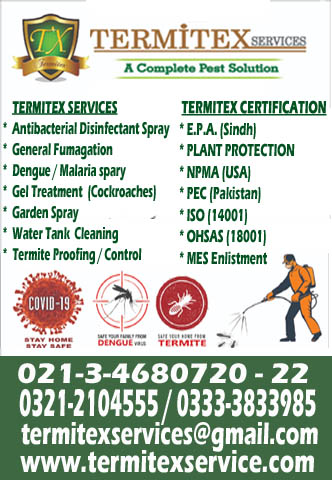 Fumigation Services /Termitex Services