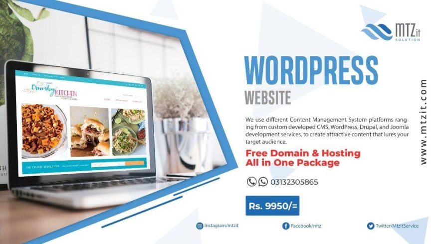MTZ Provide Professionals Creative Services We can develop your company’s WordPress Website