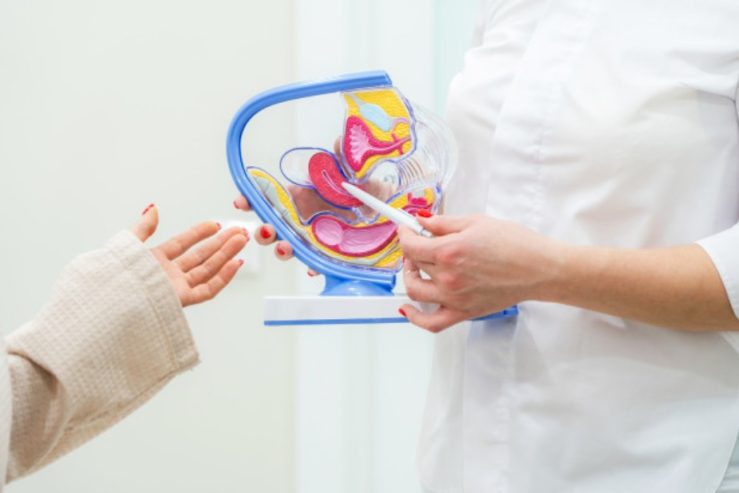 IVF Specialists In Lahore Islamabad Karachi Pakistan