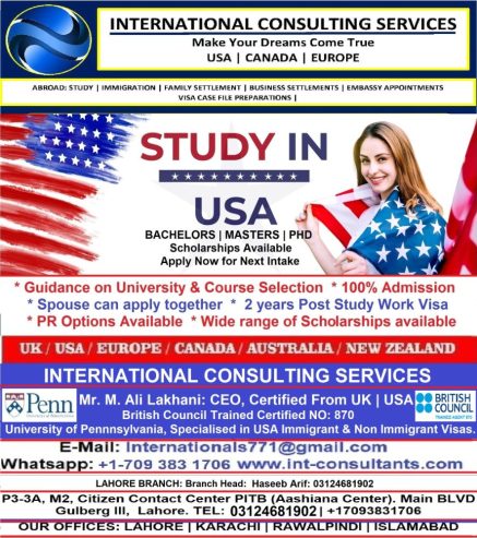 international consulting service