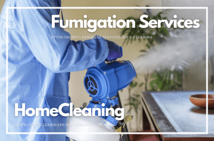 Fumigation Service In Islamabad