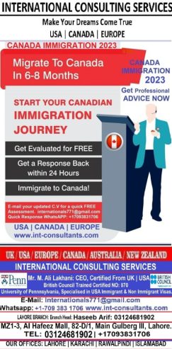 international consulting service
