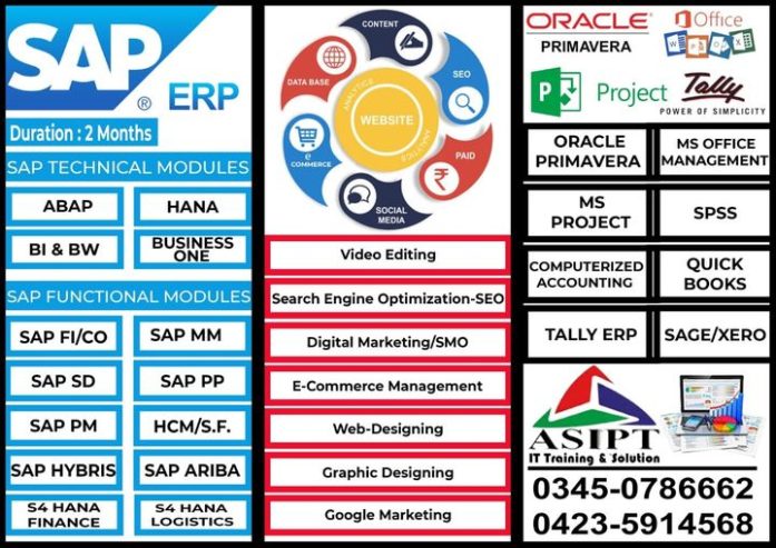 Sap Erp Hana Fico MM SD and other Computer courses and skills