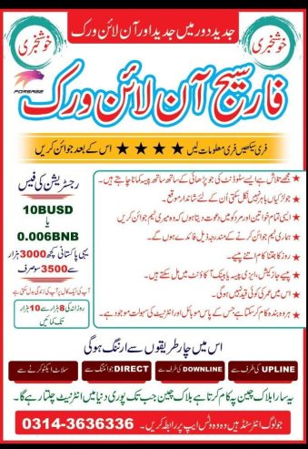 Forsage Online Job