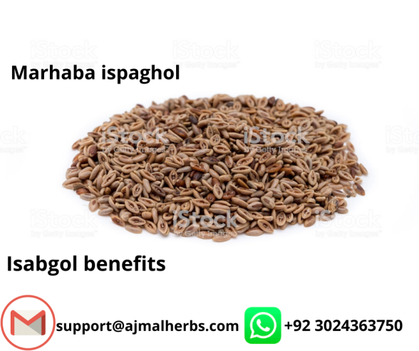 Hashmi ispaghol