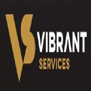 Top-Rated Security Services Provider | Vibrant Security Services