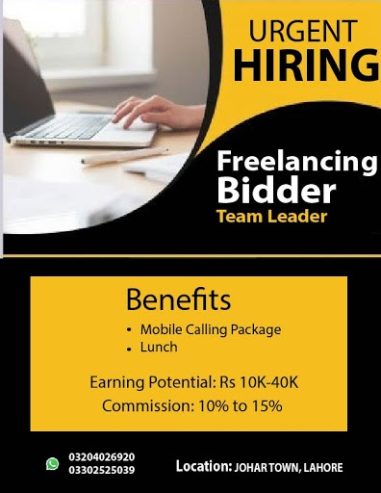 URGENT HIRING FREELANCER BIDDER TEAM LEADER