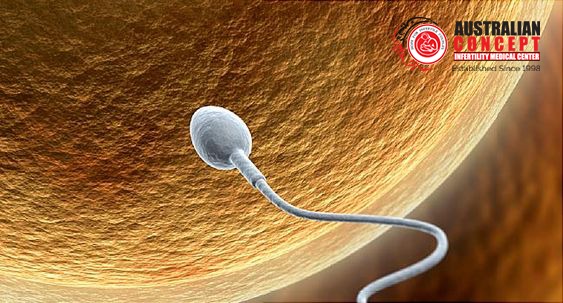 INFERTILITY TREATMENT IN MALE