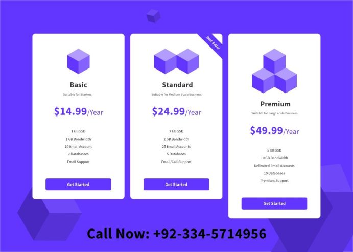 Web Hosting Service