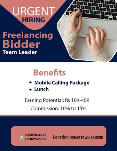 Freelance Bidder’s required