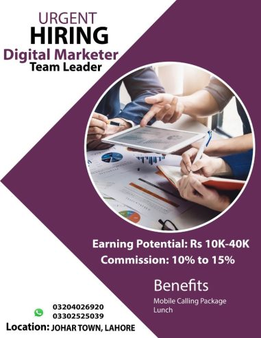 Urgent Hiring Digital Marketer (Team Leader)