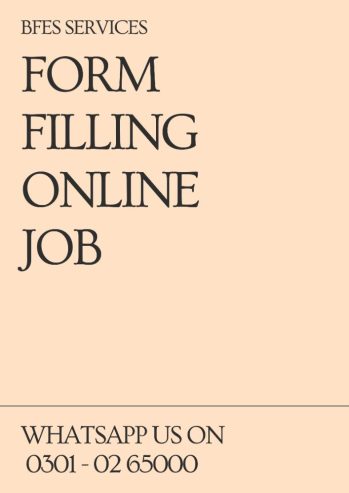 job seeker Online home base data entry job