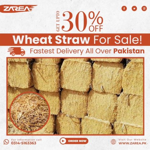 Wheat Straw Sales For Sale In Pakistan