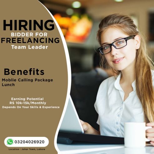 Urgent Hiring Freelancing Bidder (Team Leader)