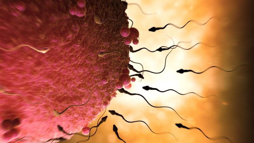 Best IVF procedure in Pakistan.