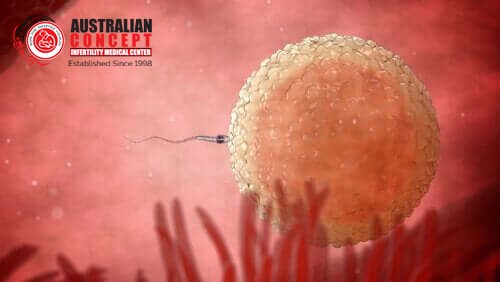 What Is IVF? Best IVF Centre In Lahore Pakistan