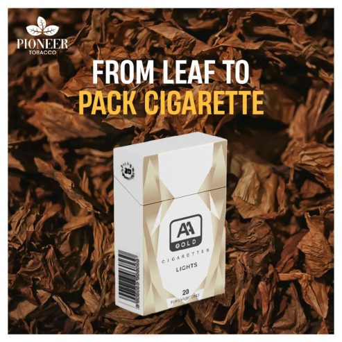 Shop Best Quality Cigarettes from Leaf to Pack – Pioneer Tobacco