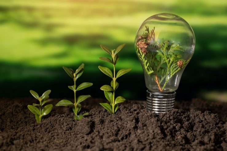 Maximizing Benefits from Government Insulation Schemes