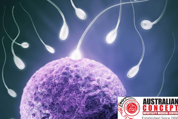 Everything You Wanted to Know About BEST IVF CENTER