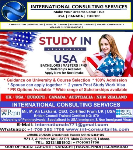 international consulting service