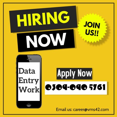 Online/Offline Jobs Consultancy Organization