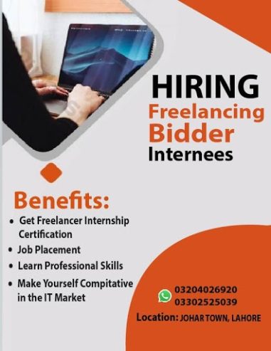 Hiring Freelance Bidder internees